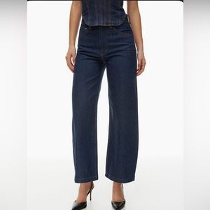 Aritzia |  Zoe Super Hi-Rise Baggy Jean, 27